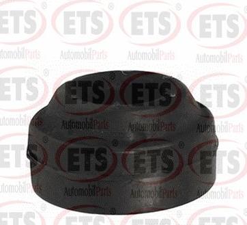 ETS 31.MB.106 - Втулка, балка мосту autocars.com.ua