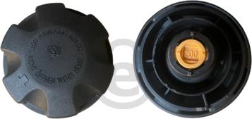 EUROCAMS EERC191 - Кришка, радіатор autocars.com.ua