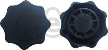 EUROCAMS EERC193 - Кришка, радіатор autocars.com.ua