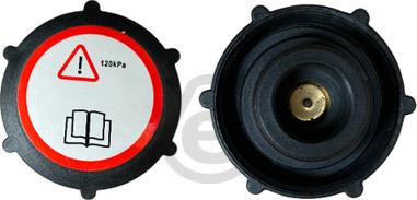 EUROCAMS EERC276 - Кришка, радіатор autocars.com.ua