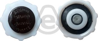 EUROCAMS EERC749 - Кришка, радіатор autocars.com.ua