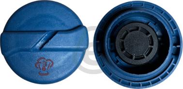 EUROCAMS EERC841 - Кришка, радіатор autocars.com.ua