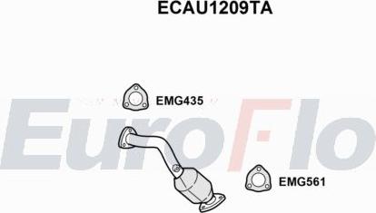 EuroFlo ECAU1209TA - Каталізатор autocars.com.ua