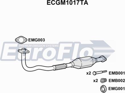 EuroFlo ECGM1017TA - Каталізатор autocars.com.ua