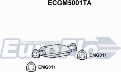 EuroFlo ECGM5001TA - Катализатор autodnr.net