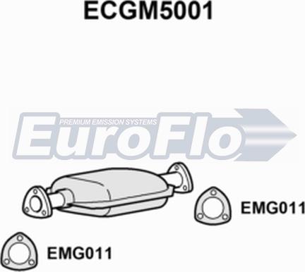 EuroFlo ECGM5001 - Катализатор autodnr.net