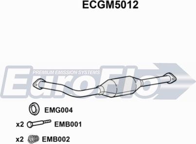 EuroFlo ECGM5012 - Каталізатор autocars.com.ua