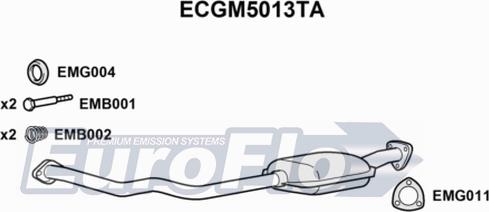 EuroFlo ECGM5013TA - Каталізатор autocars.com.ua