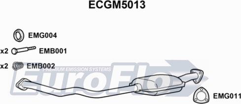 EuroFlo ECGM5013 - Каталізатор autocars.com.ua