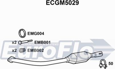 EuroFlo ECGM5029 - Катализатор autodnr.net