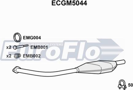 EuroFlo ECGM5044 - Катализатор autodnr.net