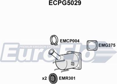 EuroFlo ECPG5029 - Каталізатор autocars.com.ua