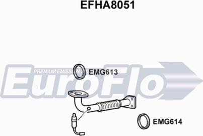 EuroFlo EFHA8051 - Труба вихлопного газу autocars.com.ua