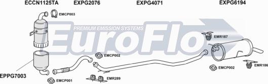 EuroFlo PG300816D 1001 - Система випуску ОГ autocars.com.ua