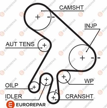 EUROREPAR 1633130280 - Зубчатый ремень ГРМ avtokuzovplus.com.ua