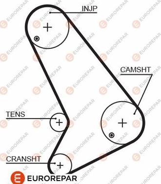 EUROREPAR 1633137380 - Зубчатый ремень ГРМ avtokuzovplus.com.ua