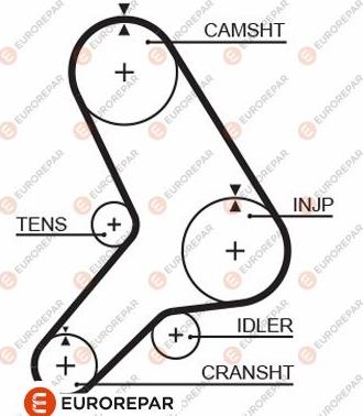 EUROREPAR 1633139080 - Ремінь ГРМ autocars.com.ua