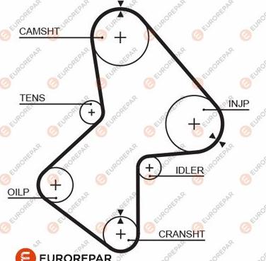 EUROREPAR 1633139780 - Зубчатый ремень ГРМ avtokuzovplus.com.ua