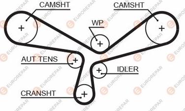 EUROREPAR 1633141680 - Зубчатый ремень ГРМ autodnr.net