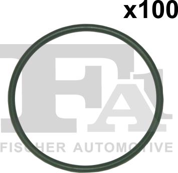 FA1 076.391.100 - Кільце ущільнювача autocars.com.ua