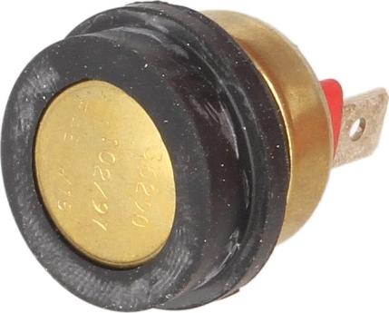 FAE 36290 - Термовимикач, вентилятор радіатора / кондиціонера autocars.com.ua