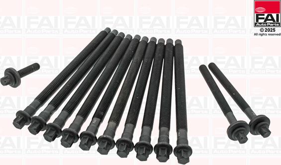 FAI AutoParts B1460 - Комплект болтів головки циліндрів autocars.com.ua
