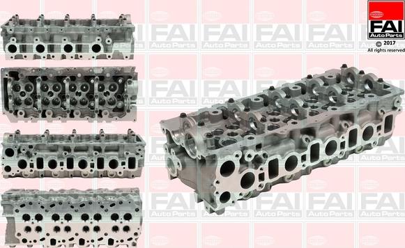 FAI AutoParts BCH033 - Головка цилиндра avtokuzovplus.com.ua