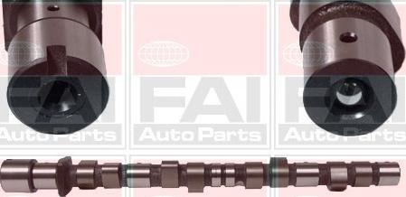 FAI AutoParts C175 - Шток autocars.com.ua