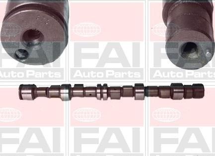 FAI AutoParts C189 - Шток autocars.com.ua