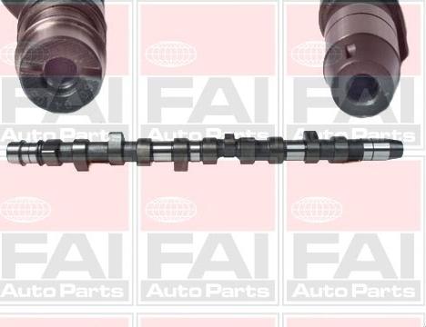 FAI AutoParts C231 - Распредвал avtokuzovplus.com.ua