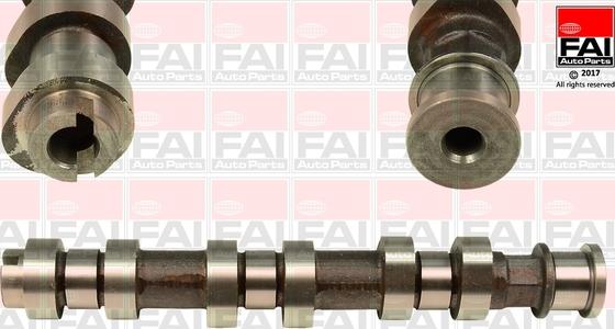 FAI AutoParts C318 - Распредвал avtokuzovplus.com.ua