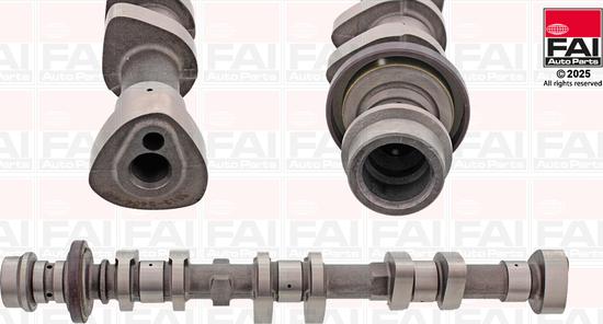 FAI AutoParts C448 - Шток autocars.com.ua