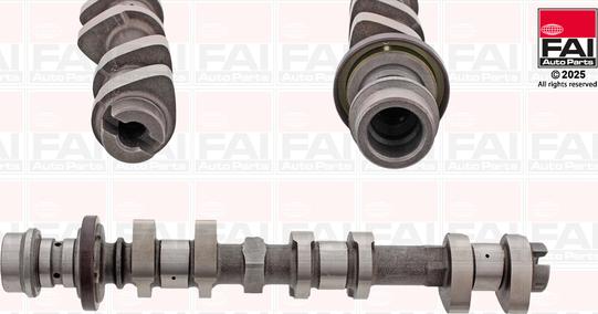 FAI AutoParts C449 - Шток autocars.com.ua