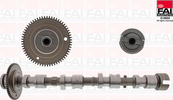 FAI AutoParts C529 - Распредвал avtokuzovplus.com.ua