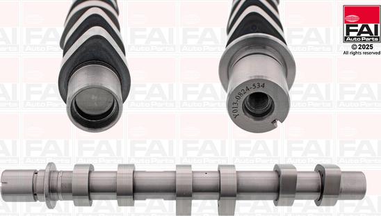 FAI AutoParts C534 - Шток autocars.com.ua