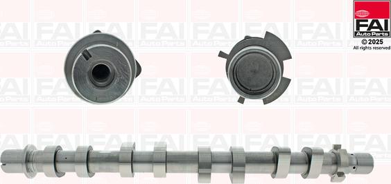 FAI AutoParts C539 - Шток autocars.com.ua
