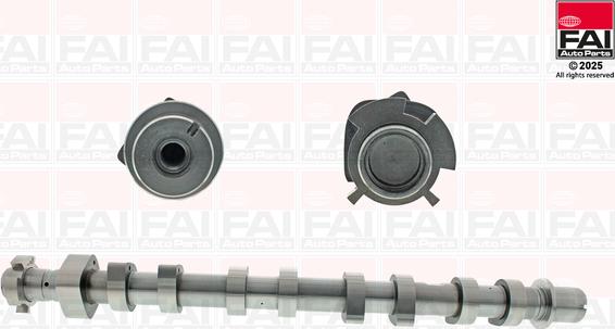 FAI AutoParts C540 - Шток autocars.com.ua