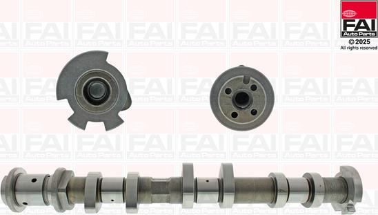 FAI AutoParts C545 - Шток autocars.com.ua