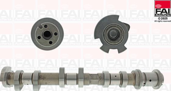 FAI AutoParts C546 - Шток autocars.com.ua