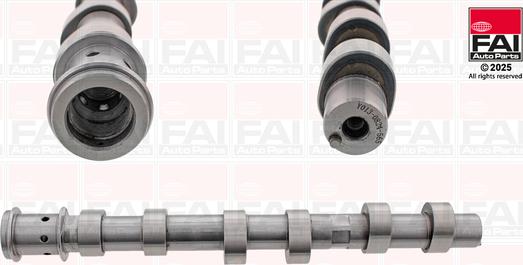 FAI AutoParts C565 - Шток autocars.com.ua
