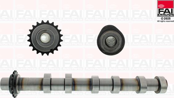 FAI AutoParts C591 - Шток autocars.com.ua