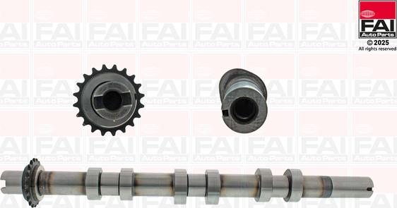 FAI AutoParts C593 - Шток autocars.com.ua