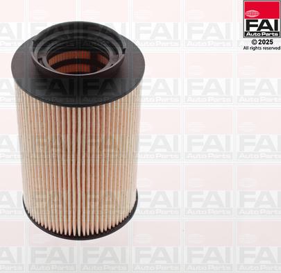 FAI AutoParts FF132 - Паливний фільтр autocars.com.ua