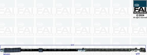 FAI AutoParts FPBH173 - Гальмівний шланг autocars.com.ua