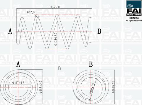 FAI AutoParts FPCS156 - Пружина ходовой части avtokuzovplus.com.ua