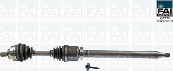 FAI AutoParts FPDS202 - Приводной вал avtokuzovplus.com.ua