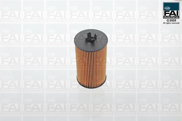 FAI AutoParts FPOF100 - Масляний фільтр autocars.com.ua
