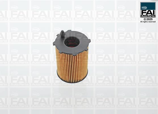 FAI AutoParts FPOF102 - Масляний фільтр autocars.com.ua