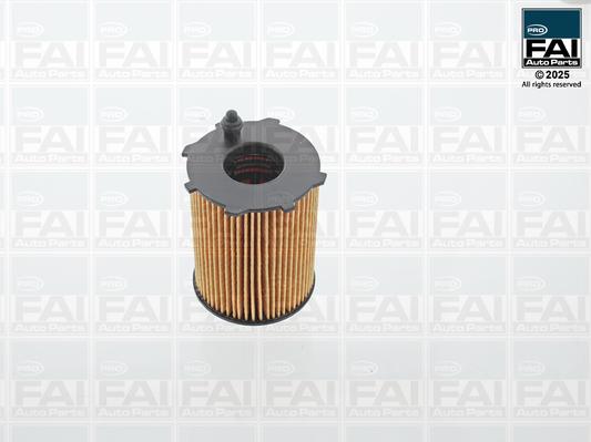 FAI AutoParts FPOF117 - Масляний фільтр autocars.com.ua