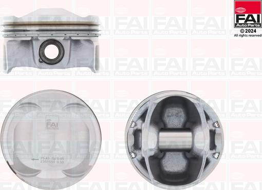 FAI AutoParts PK252-050 - Поршень avtokuzovplus.com.ua